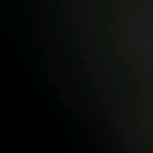 Meet your Posher, Perla